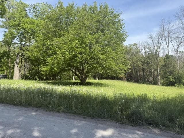 Image 4 Image 4
