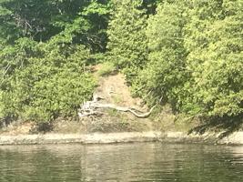 05-02-24 Butler Island West