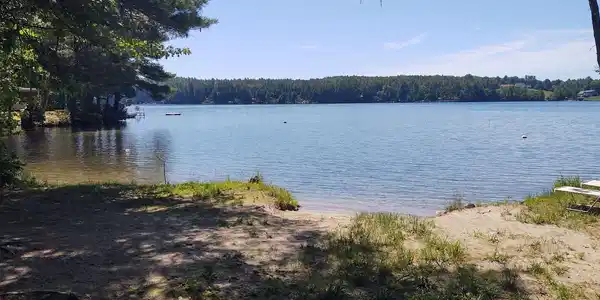Lot 8 Pond