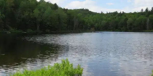 0 Halfmoon Pond