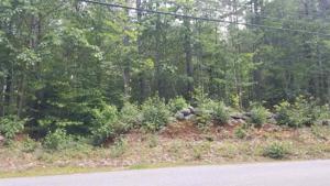Whittemore Point S