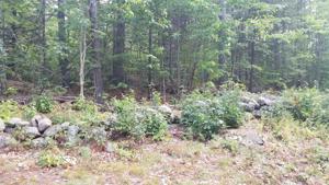 Whittemore Point S