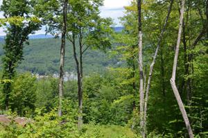 8 Peaked Hill