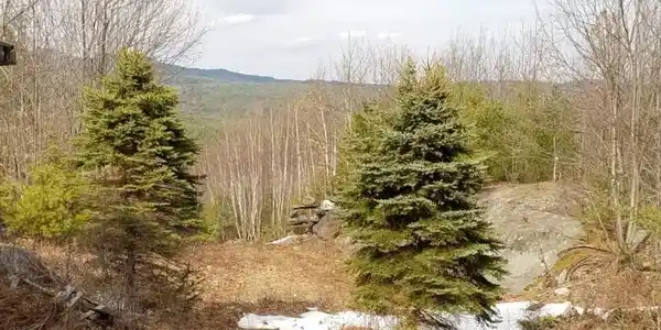 TBD Hill