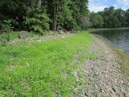 98 Alburg Springs