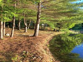 46 Sargent Lake