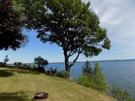 232 Hog Island