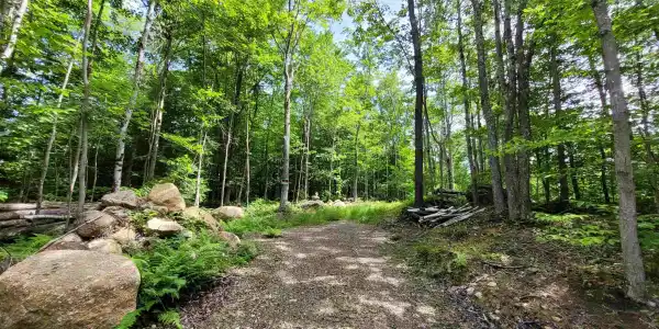 M111 L30 Fox Hill