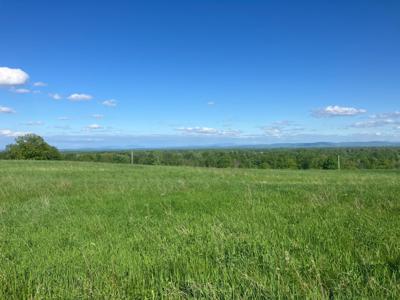 Lot 1 Summit Road