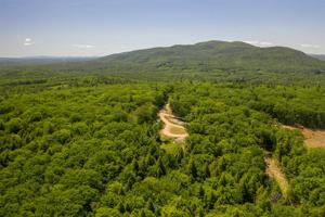 15 D Buzzell Ridge