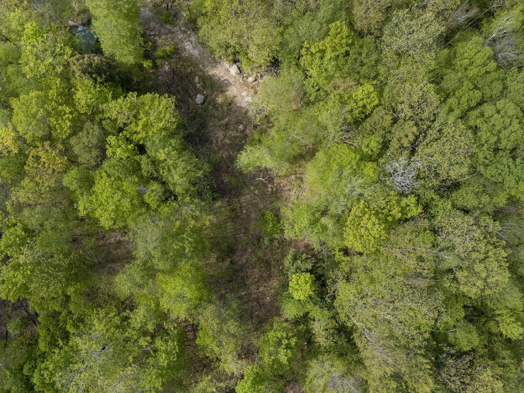 Image 4 Image 4