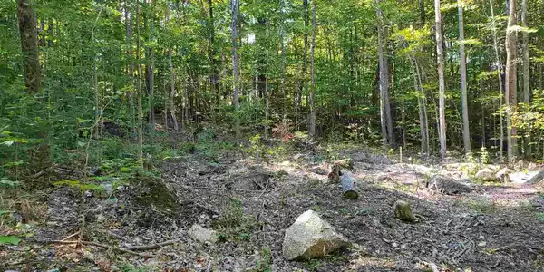 000 Fox Hill