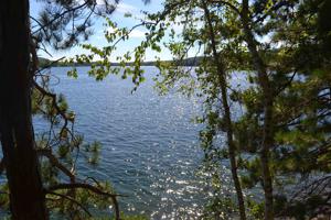 Lot 47 Owls Head Point