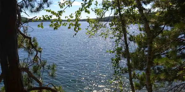Lot 47 Owls Head Point