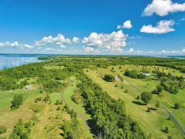 Lot #4 Terrapin