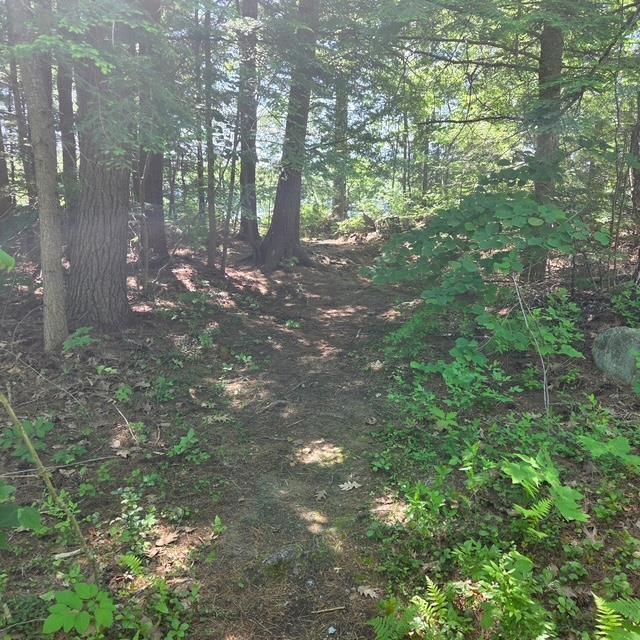 Image 2 Image 2
