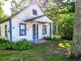 249 Pine