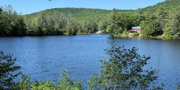 Image 3: View South of Pond Image 3: View South of Pond