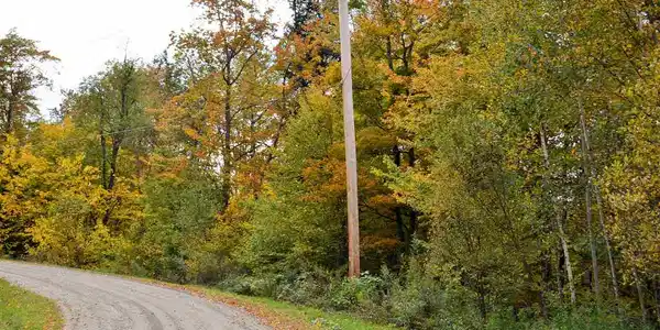 Lot 7 Echo View