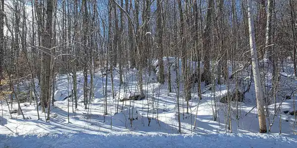 M111 L24&25 Tigola Trail