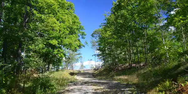 57 Hill Top Farm