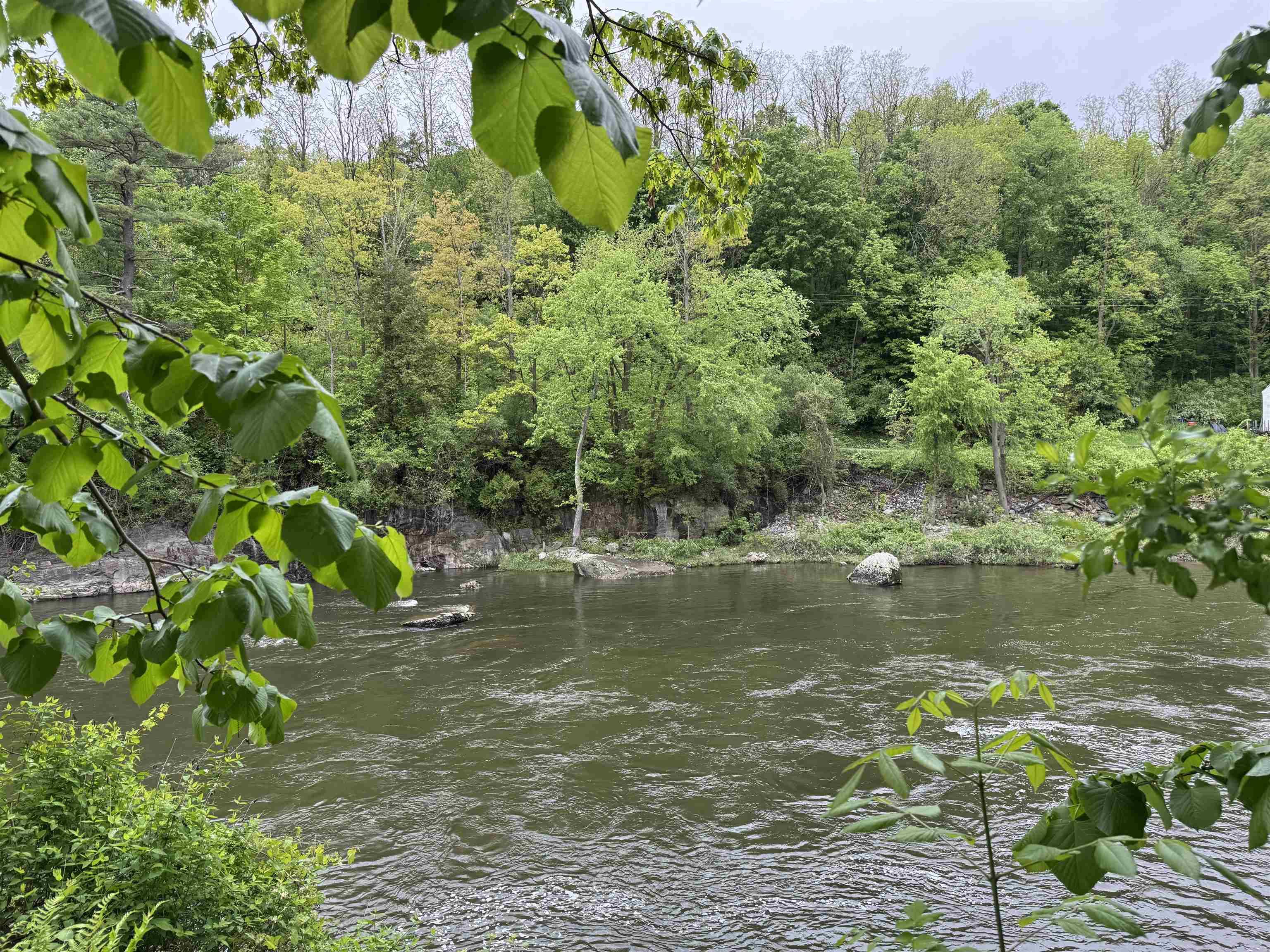 Image 0: River View