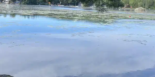 00 Fox Run