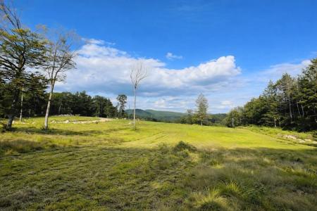 Lot 70.1 Old North Branch Road