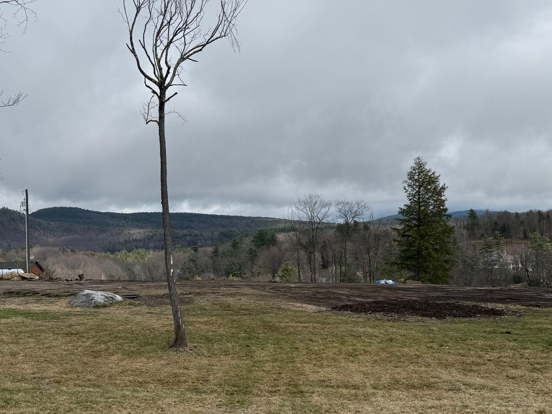 Image 4 Image 4
