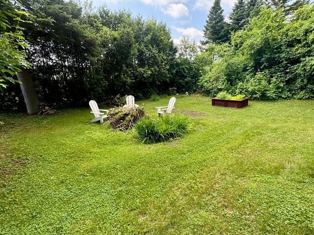 Image 3: Yard