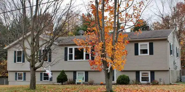 84 Red Oak