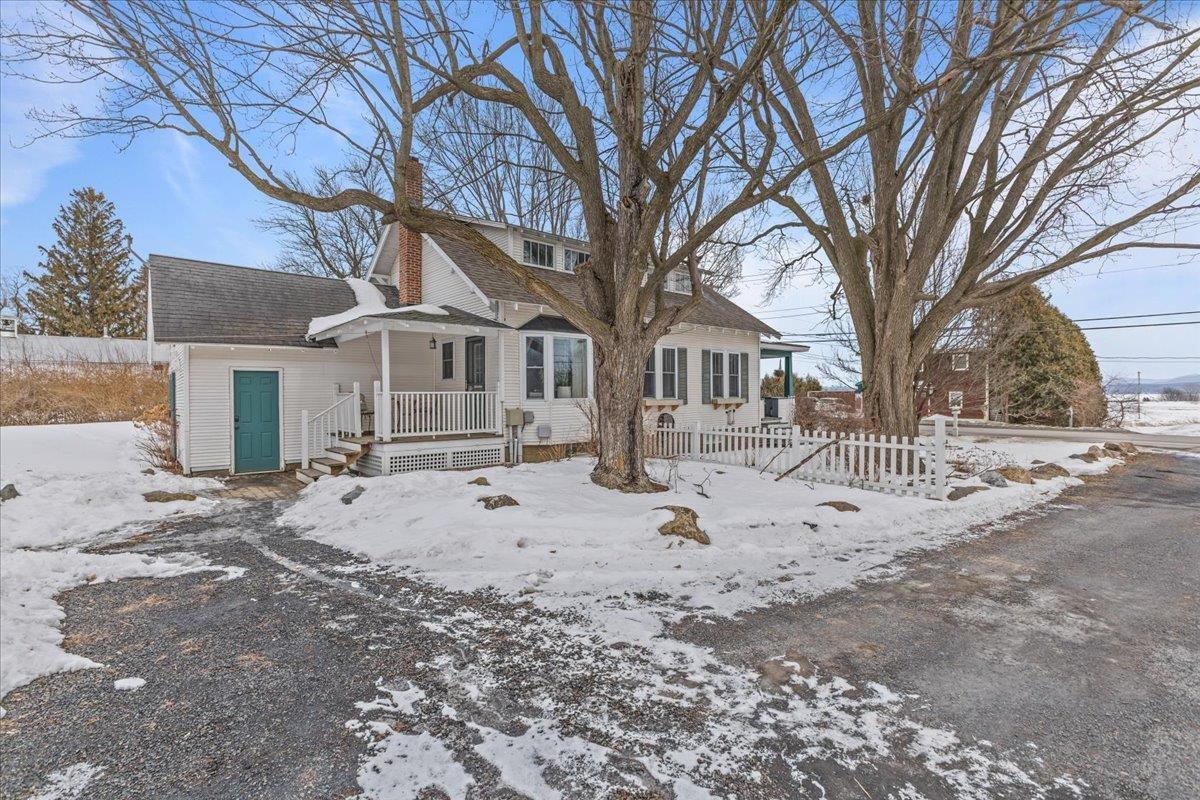 Image 2: Lovely Trees for Shade this Summer