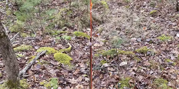 Image 4 Image 4