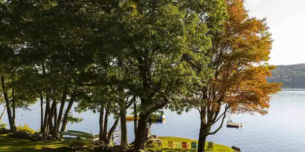 870 Lakeshore