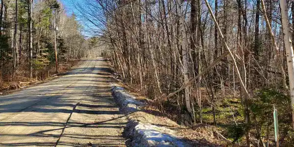 307 Wood Lot