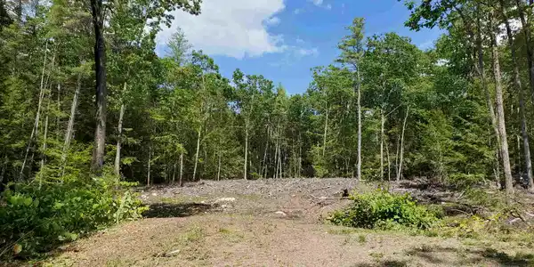 433A North Shore