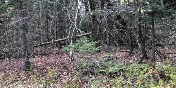 00 North Main