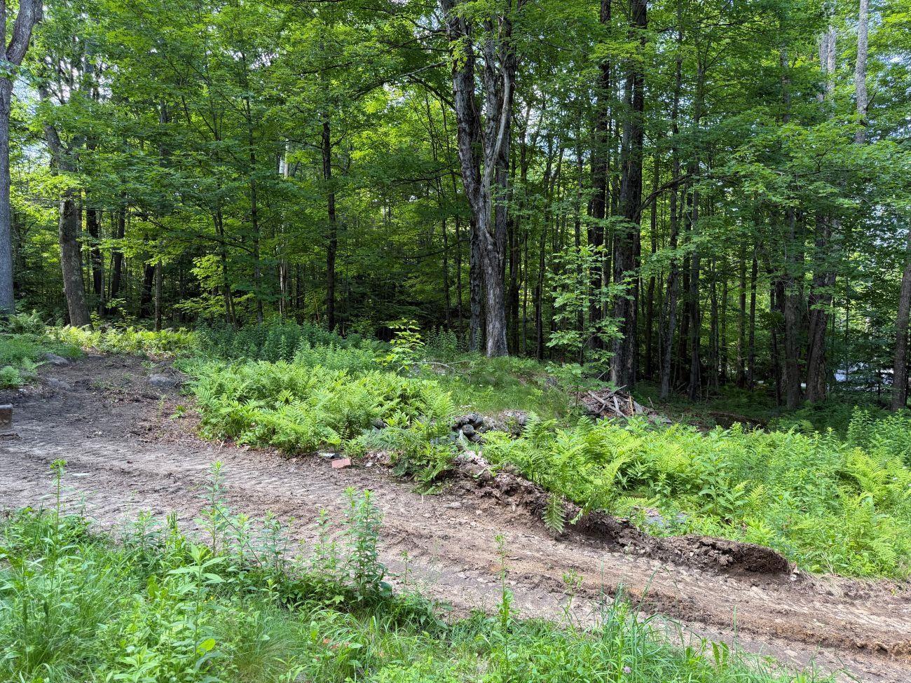 Image 4 Image 4