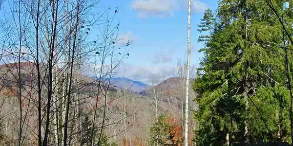 Lot 4 Echo View Drive