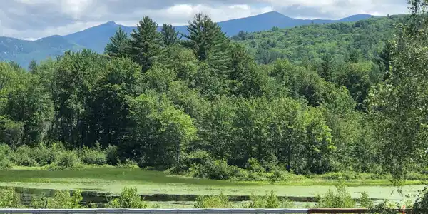 21 Overlook