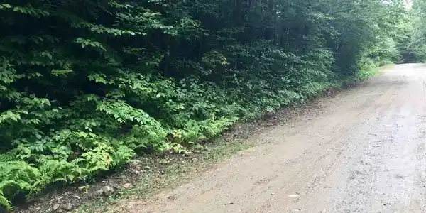 0 TM 115 Lot 17 Beaver Lake