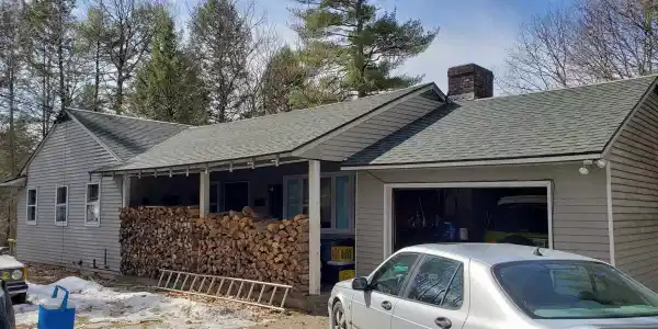 16 Pine Tree