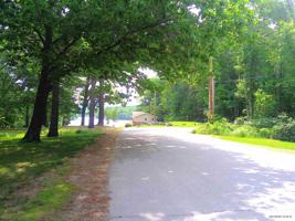 Lot 63 Colony
