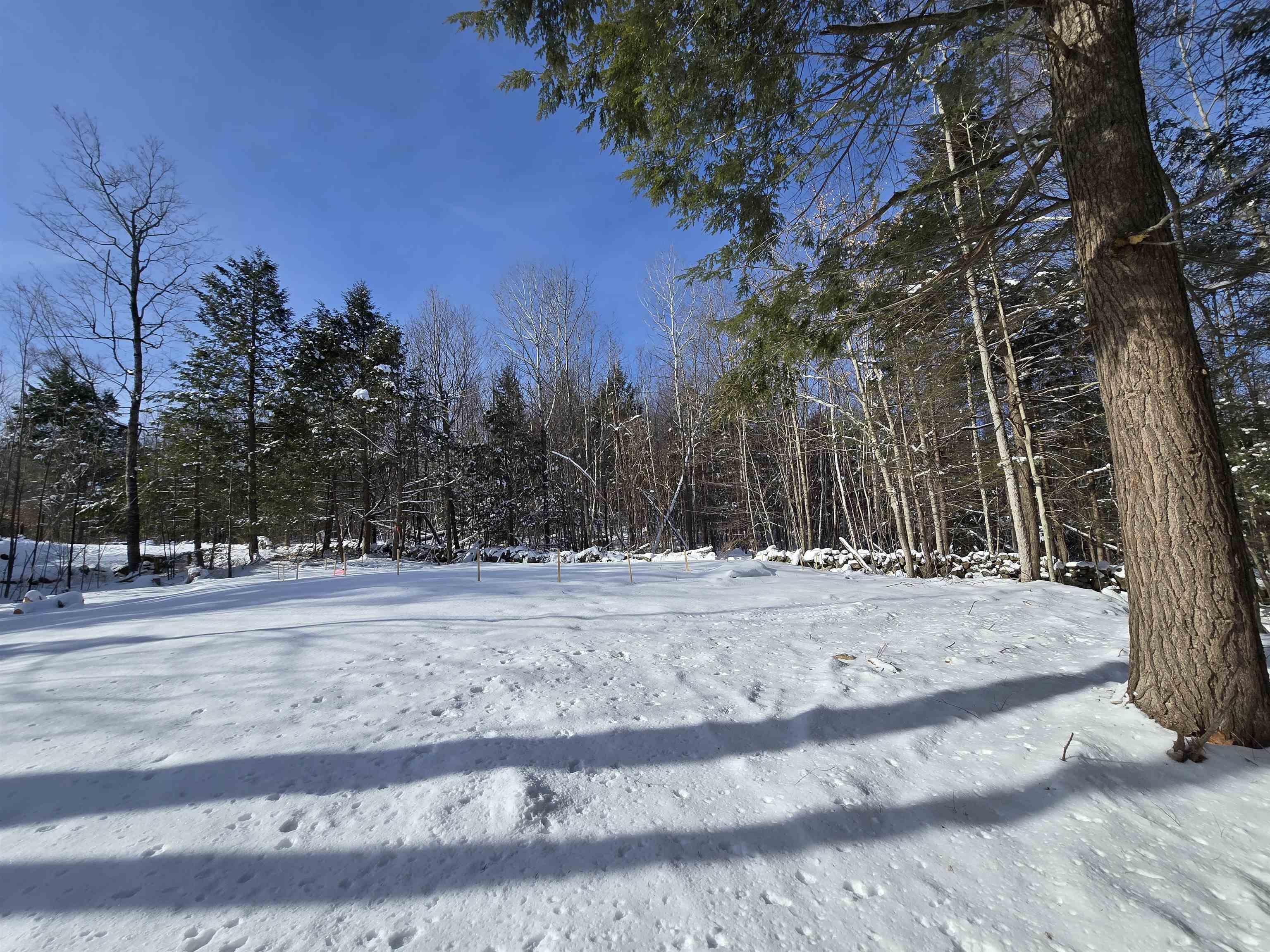 Image 3: Lot 99 Viviana drive