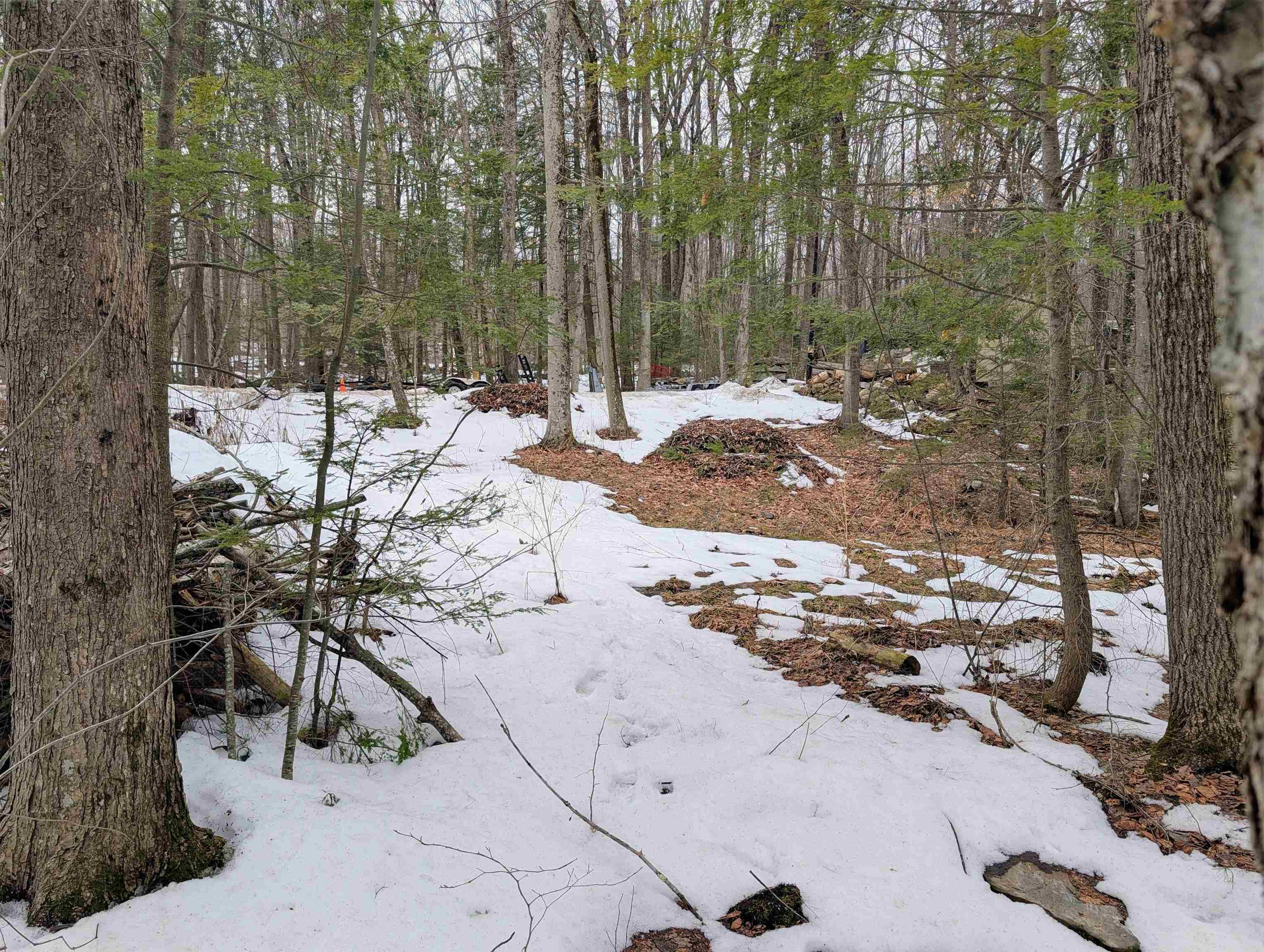 Image 3 Image 3