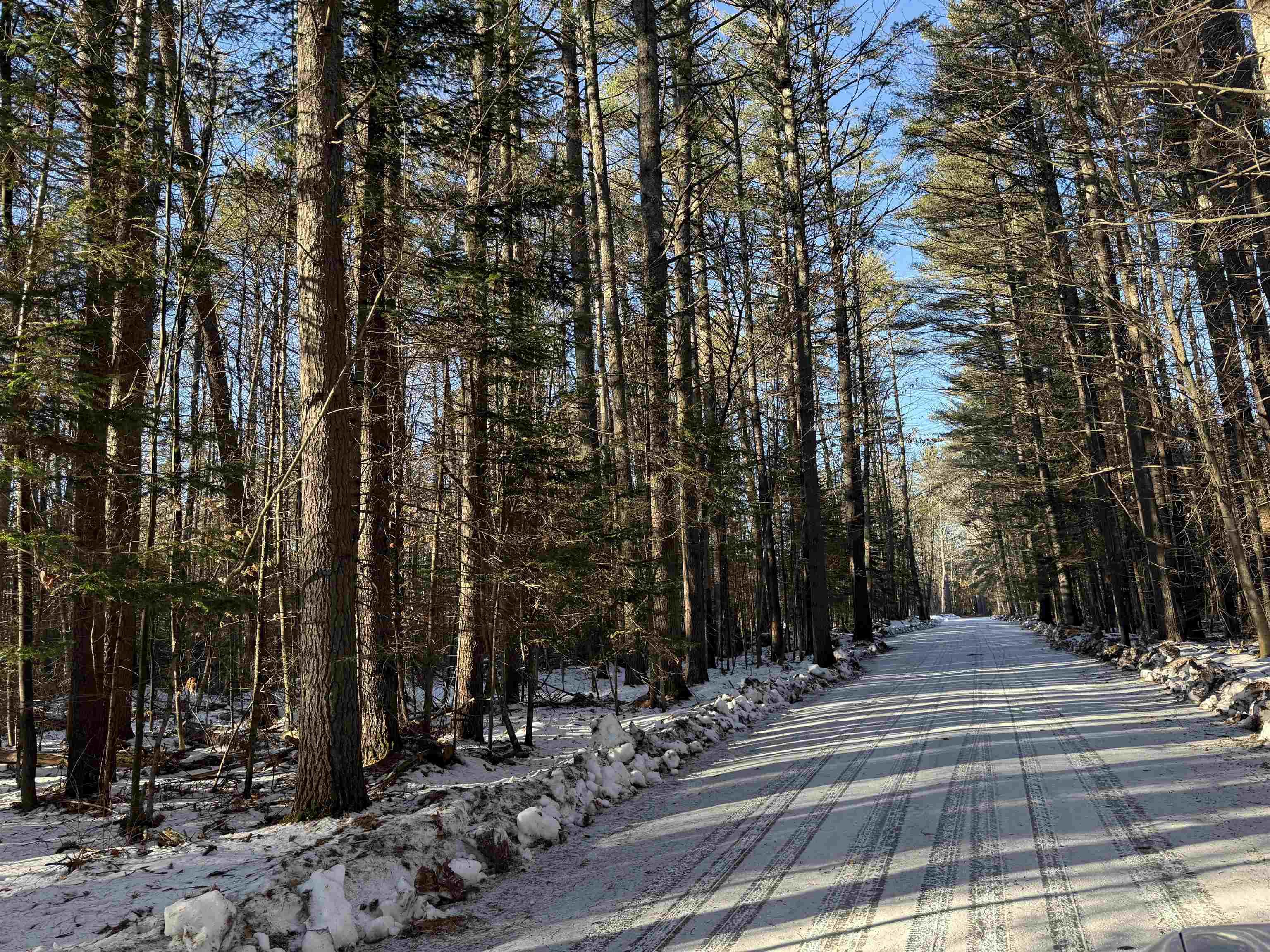 Image 3: Private Dead End Road