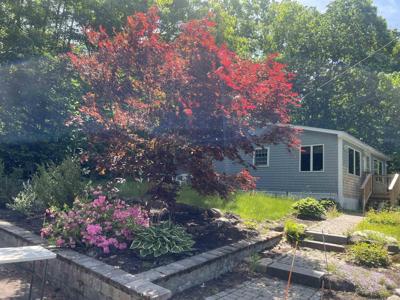 25 Mayhew Turnpike