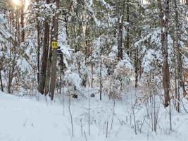 15 M Buzzell Ridge