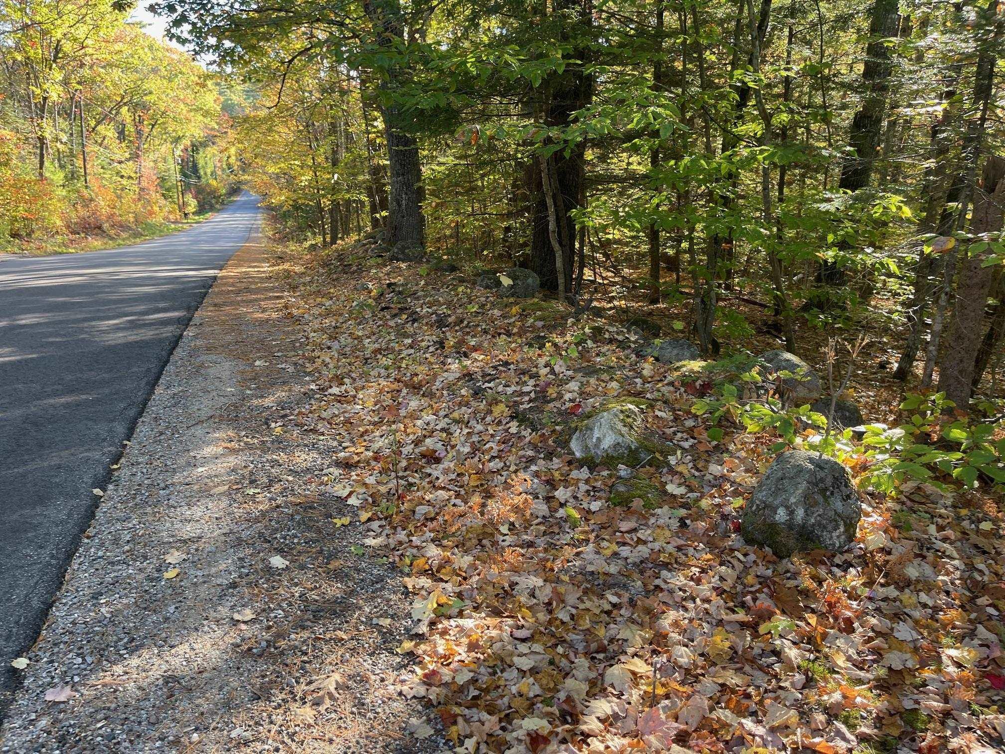 Image 1: 630 Feet of Paved Road Frontage - Town Miantained