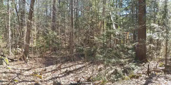 14-194 Seminole Road